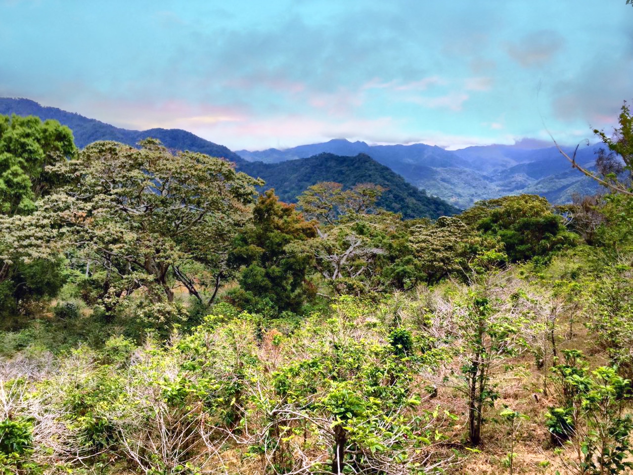 sold Reduced! Stunning View Lot For Sale in El Salto, Boquete, Panama near National Park yet Convenient to Town photo 5