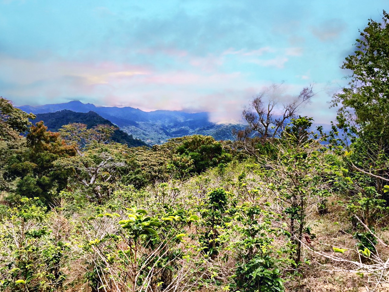 sold Reduced! Stunning View Lot For Sale in El Salto, Boquete, Panama near National Park yet Convenient to Town photo 7