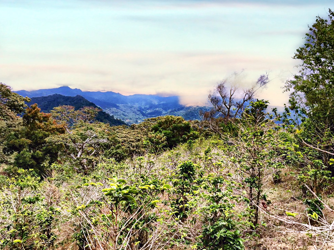 sold Reduced! Stunning View Lot For Sale in El Salto, Boquete, Panama near National Park yet Convenient to Town photo 8