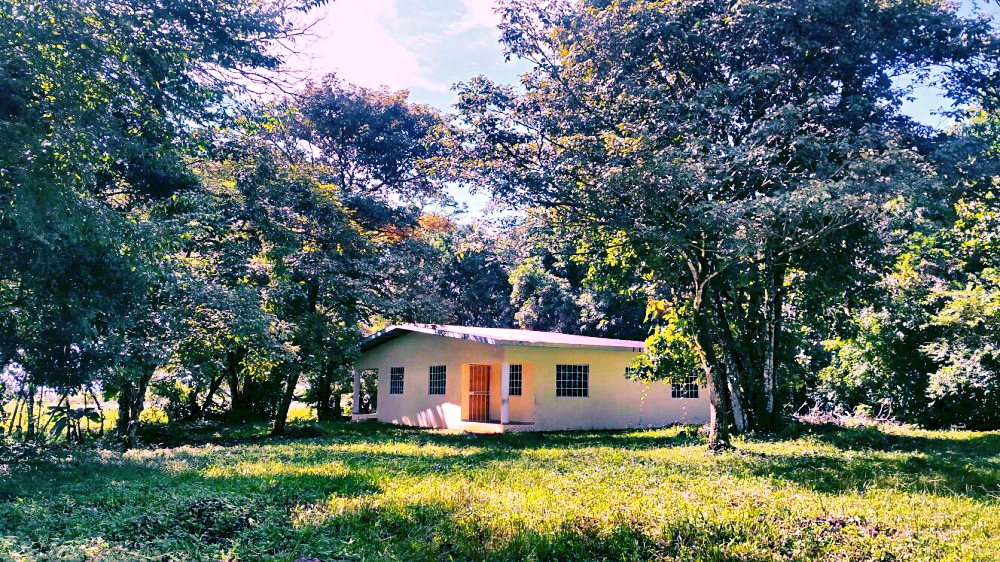 2 Unit Duplex for Sale in Dolega near Boquete and David - Owner Financing Available photo 12