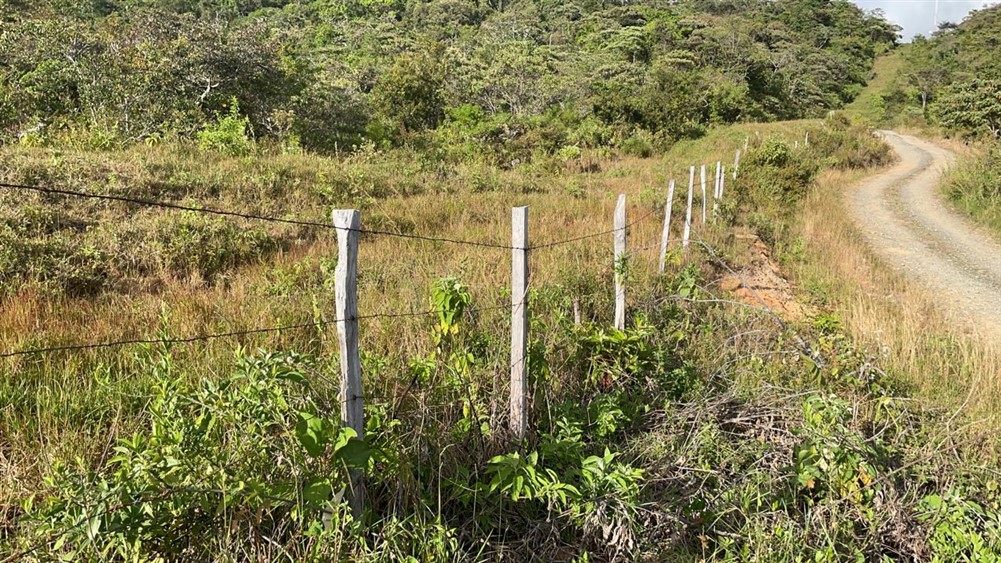 New Photos! 25 Beautiful Acres for Sale in El Cope, Caldera, Boquete, Panama photo 4