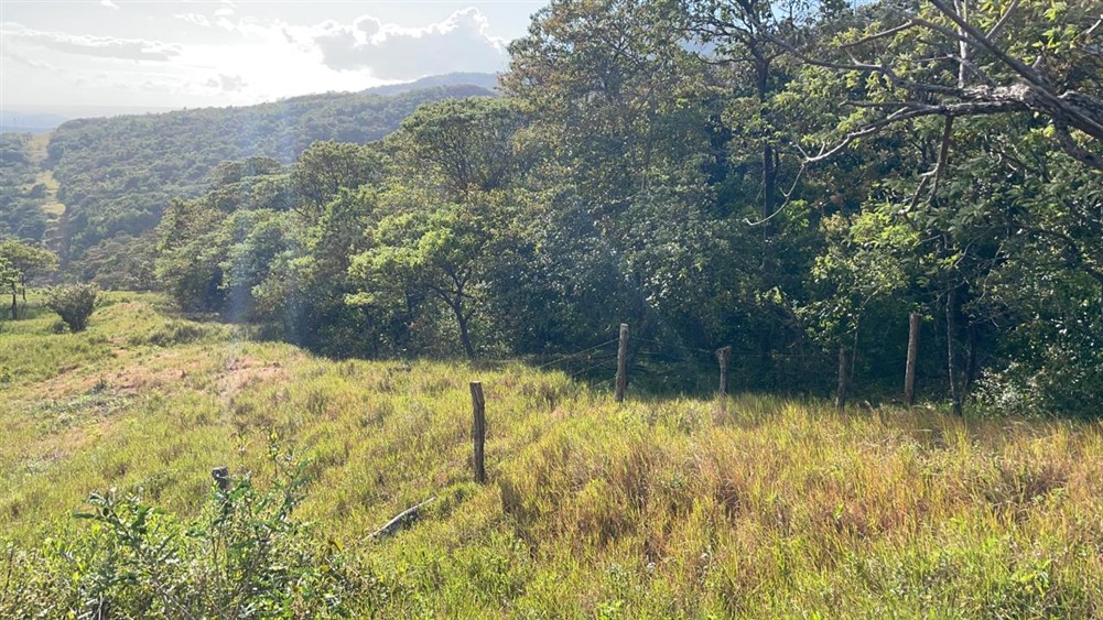 New Photos! 25 Beautiful Acres for Sale in El Cope, Caldera, Boquete, Panama photo 5