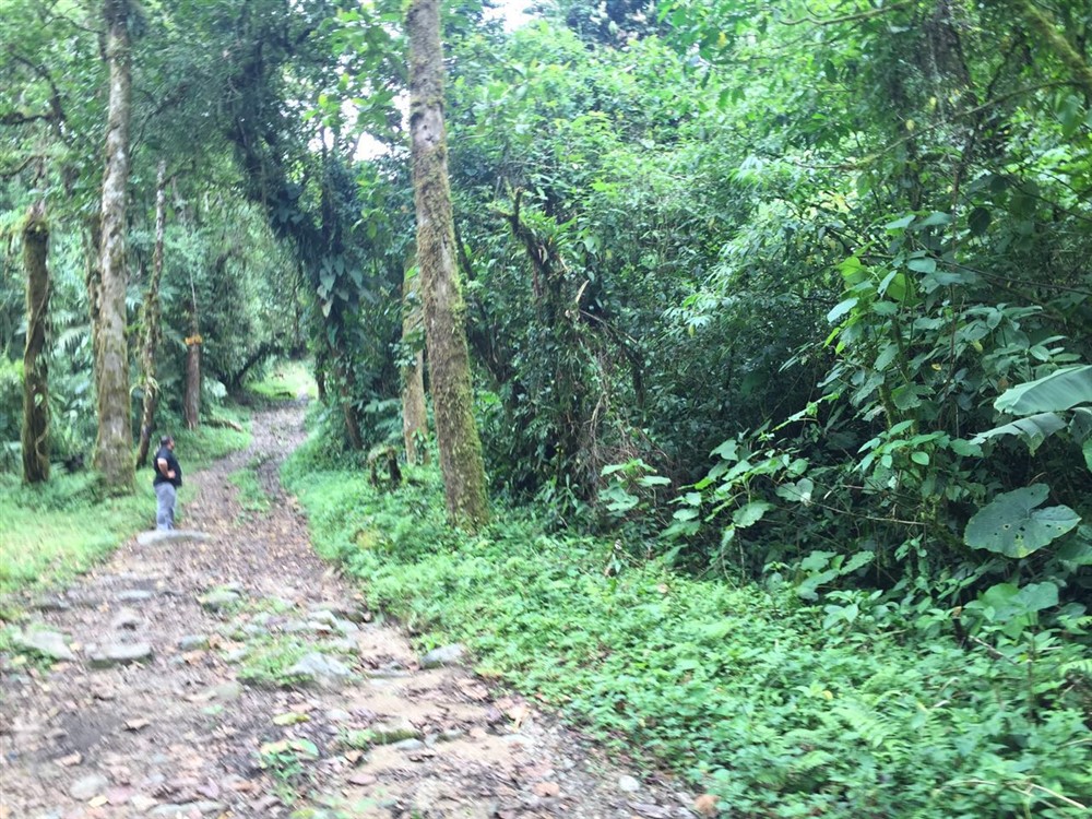 Withdrawn 18 Lush Hectares – 46 plus Acres – in Bajo Mono, Boquete for Under $200K – Potential Eco-Resort Site