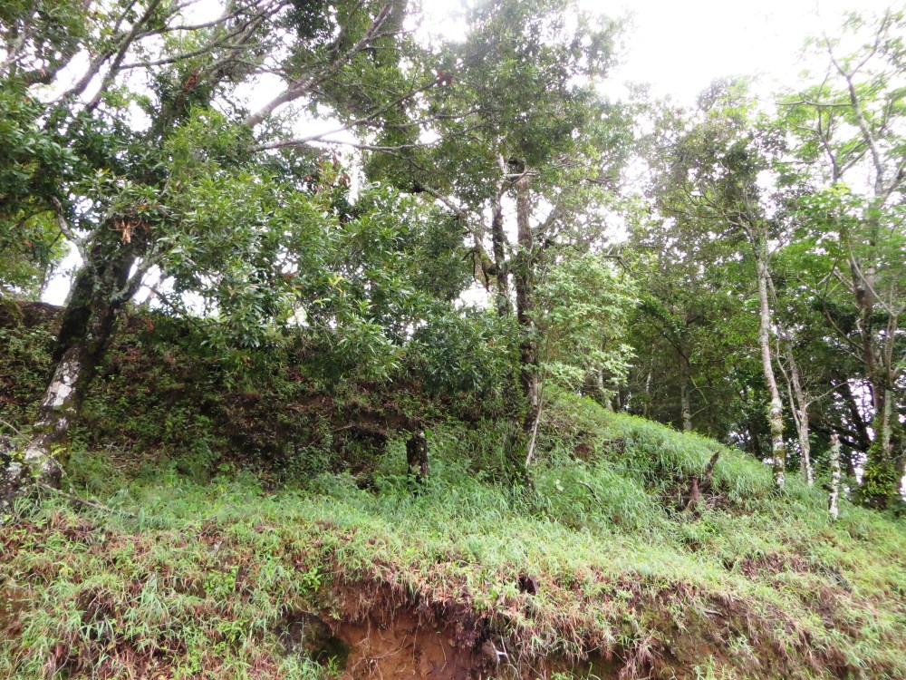 Sold by Casa Solution! Intense View Property in the Heights of Jaramillo, Boquete – Propiedad con Vista Intensa en las Alturas de Jaramillo, Boquete photo 10