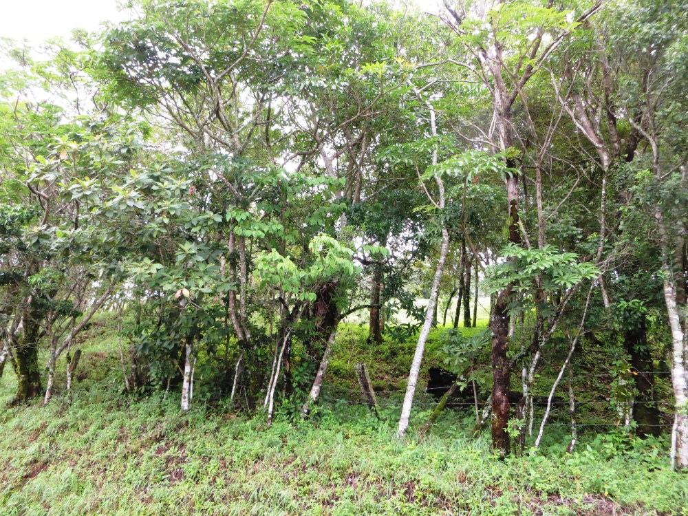 Sold by Casa Solution! Intense View Property in the Heights of Jaramillo, Boquete – Propiedad con Vista Intensa en las Alturas de Jaramillo, Boquete photo 11