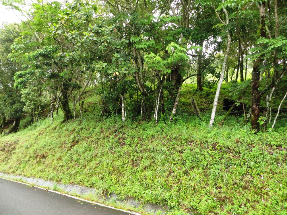 Sold by Casa Solution! Intense View Property in the Heights of Jaramillo, Boquete – Propiedad con Vista Intensa en las Alturas de Jaramillo, Boquete photo 12