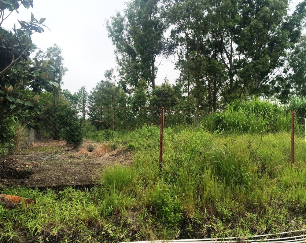 Sold by Casa Solution – Land for Sale Near Palmira Entrance in Alto Boquete photo 2