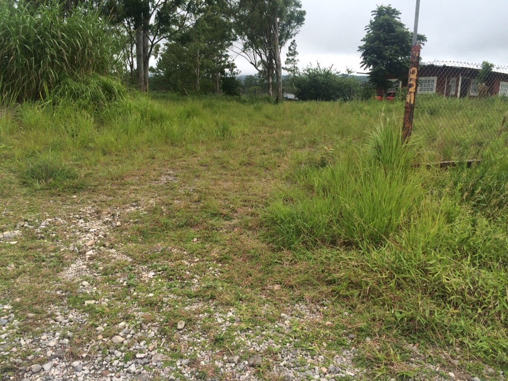 Sold by Casa Solution – Land for Sale Near Palmira Entrance in Alto Boquete photo 3