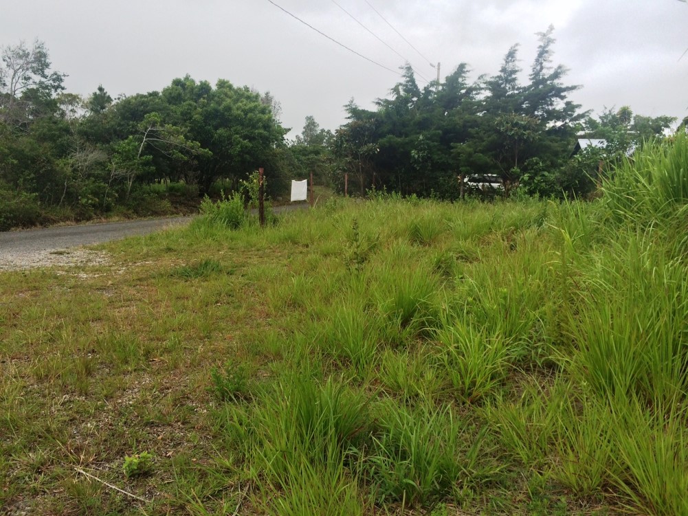 Sold by Casa Solution – Land for Sale Near Palmira Entrance in Alto Boquete photo 7