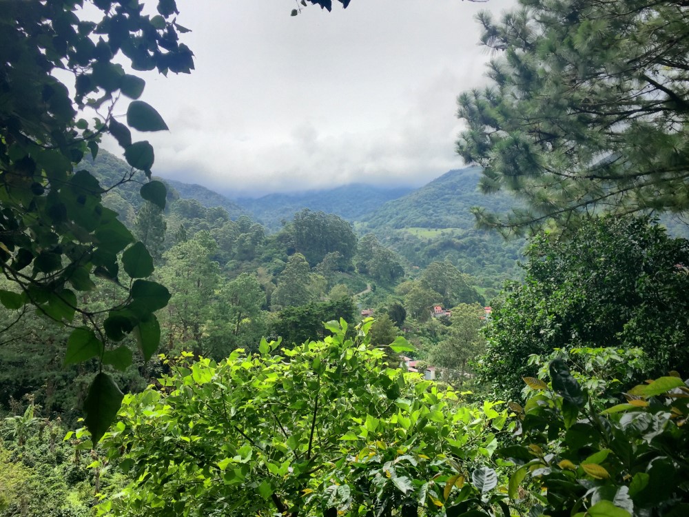 Beautiful Lush Lots Just Off the Loop Road in Palo Alto, Boquete photo 9