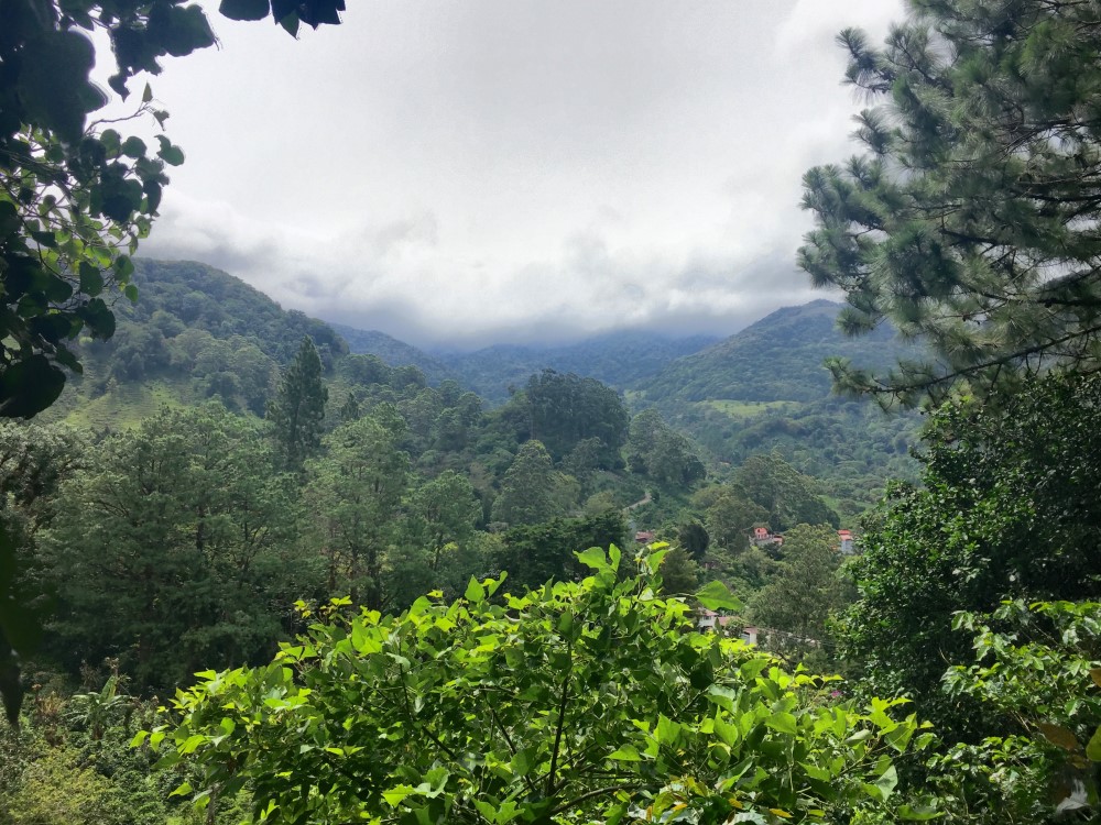 Beautiful Lush Lots Just Off the Loop Road in Palo Alto, Boquete photo 10