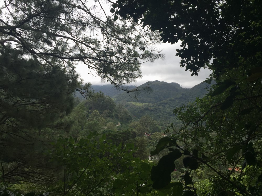 Beautiful Lush Lots Just Off the Loop Road in Palo Alto, Boquete photo 6