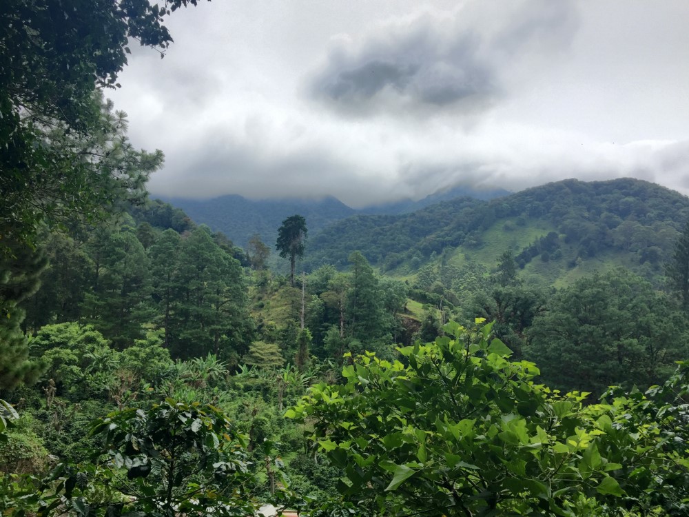 Beautiful Lush Lots Just Off the Loop Road in Palo Alto, Boquete photo 7