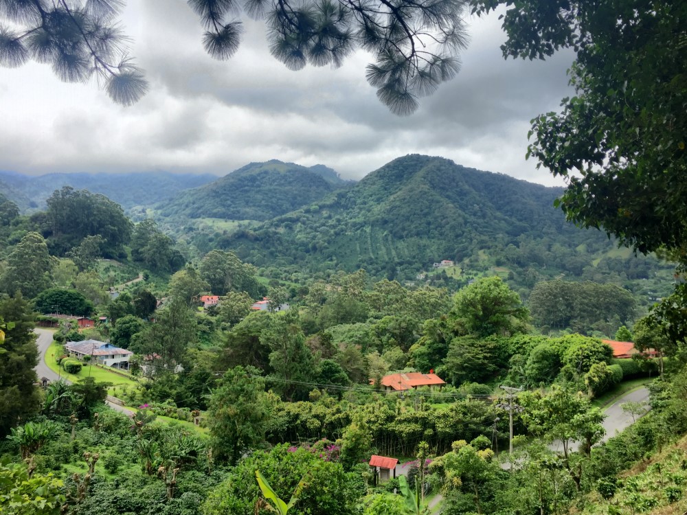 Beautiful Lush Lots Just Off the Loop Road in Palo Alto, Boquete