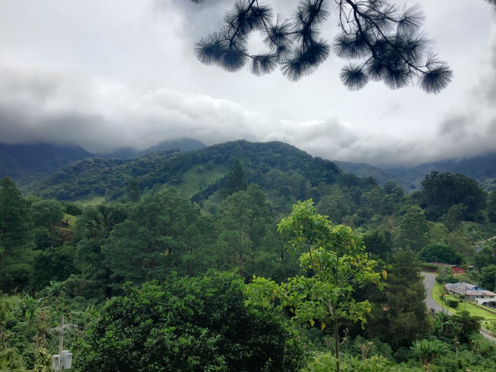 Beautiful Lush Lots Just Off the Loop Road in Palo Alto, Boquete photo 2