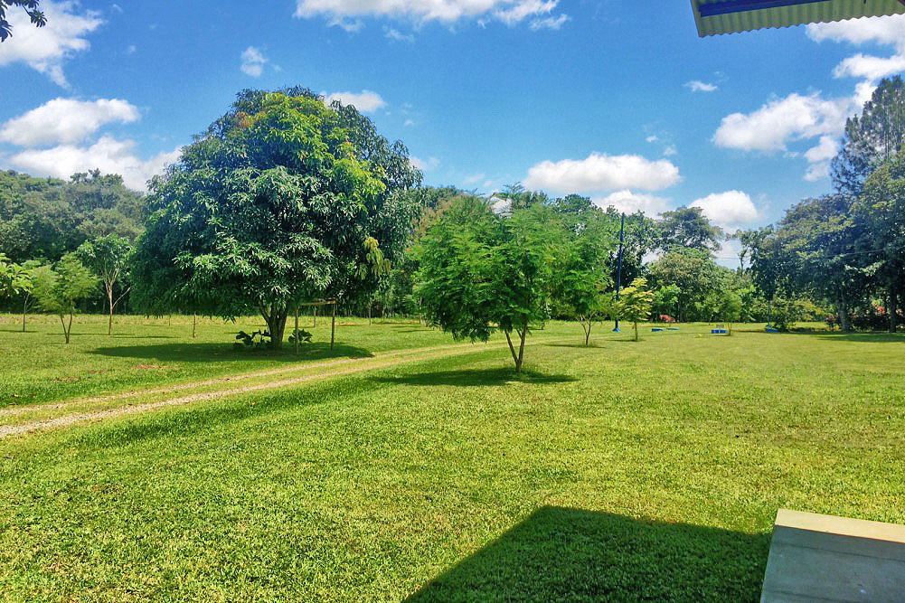 Withdrawn - sold by seller - Price Reduction! Very Beautiful 13 Plus Acre Organic Farm with House & River on Paved Road Near Boquete and David - Muy Hermosa Granja Orgánica de 13 Acres con Casa y Río en Carretera Pavimentada Cerca de Boquete y David photo 4
