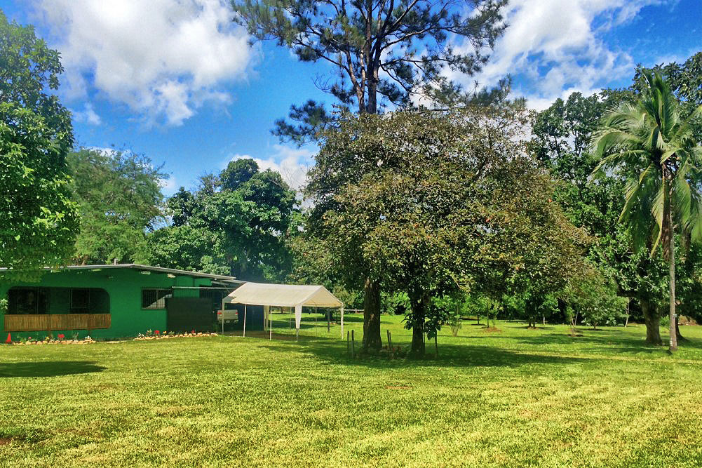 Withdrawn - sold by seller - Price Reduction! Very Beautiful 13 Plus Acre Organic Farm with House & River on Paved Road Near Boquete and David - Muy Hermosa Granja Orgánica de 13 Acres con Casa y Río en Carretera Pavimentada Cerca de Boquete y David photo 6