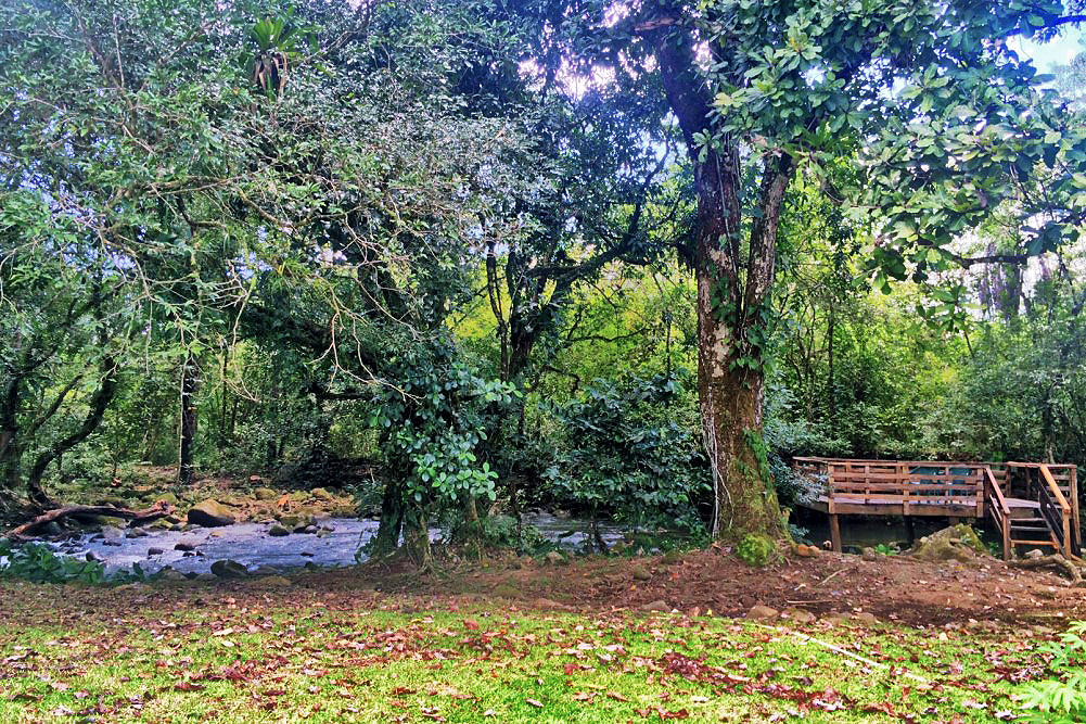 Withdrawn - sold by seller - Price Reduction! Very Beautiful 13 Plus Acre Organic Farm with House & River on Paved Road Near Boquete and David - Muy Hermosa Granja Orgánica de 13 Acres con Casa y Río en Carretera Pavimentada Cerca de Boquete y David photo 7