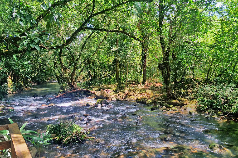 Withdrawn - sold by seller - Price Reduction! Very Beautiful 13 Plus Acre Organic Farm with House & River on Paved Road Near Boquete and David - Muy Hermosa Granja Orgánica de 13 Acres con Casa y Río en Carretera Pavimentada Cerca de Boquete y David photo 8