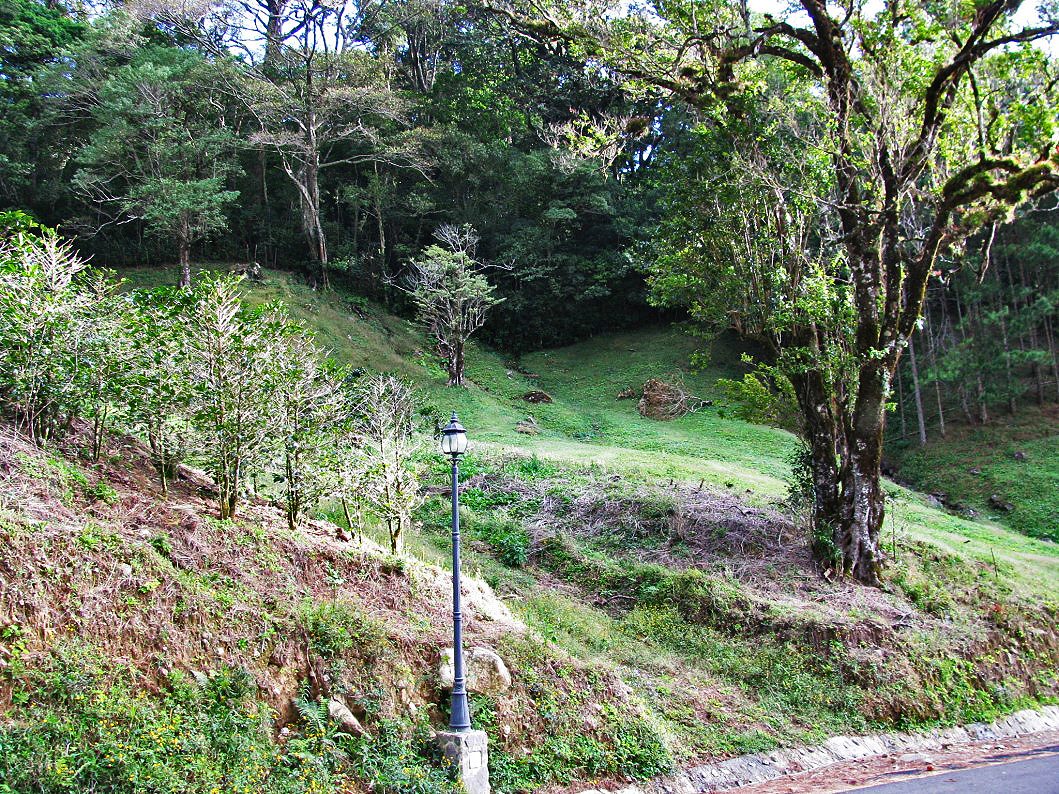Sold by Casa Solution – High Quality Lot, Low Price –  Home Building Lot in Las Terrazas Boquete Gated Community – Lote en la Exclusiva Comunidad Las Terrazas de Boquete. photo 7