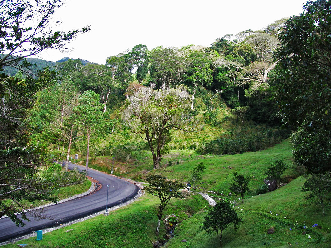 Sold by Casa Solution – High Quality Lot, Low Price –  Home Building Lot in Las Terrazas Boquete Gated Community – Lote en la Exclusiva Comunidad Las Terrazas de Boquete. photo 4