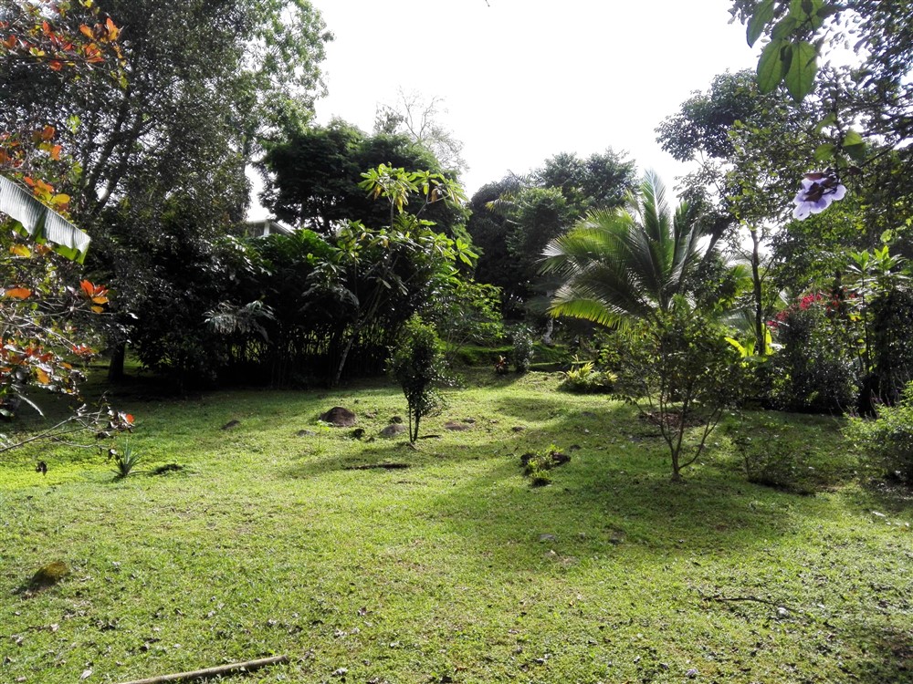 House Plus Guest House for Sale on 2.63 Acres Close to David, Panama photo 5
