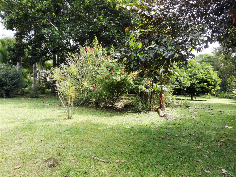 House Plus Guest House for Sale on 2.63 Acres Close to David, Panama photo 8