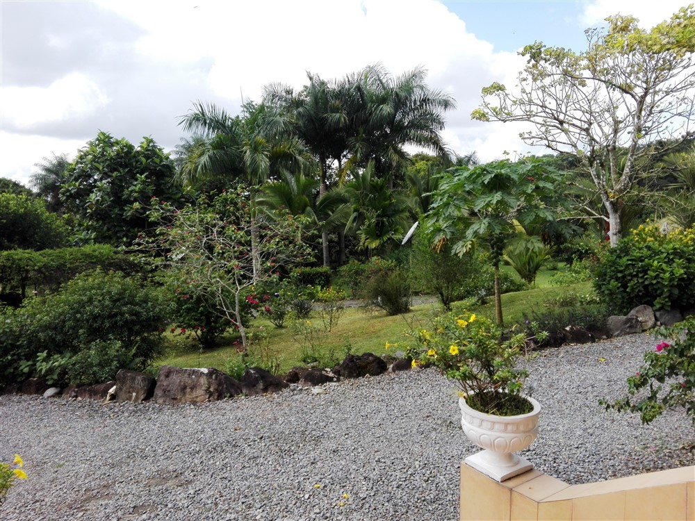 House Plus Guest House for Sale on 2.63 Acres Close to David, Panama photo 9