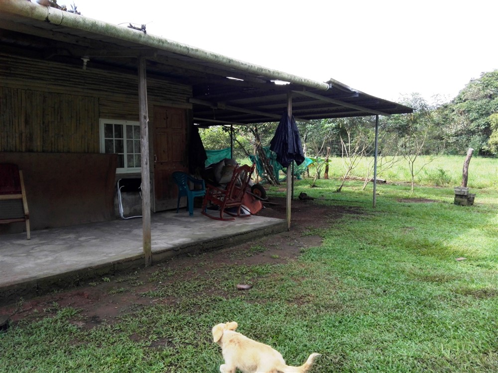 Sold by Casa Solution! House on 0.5 Acre Lot for Sale or Rent Close to the Center of Caldera, Boquete, Panama – Has Full Year Stream & A House photo 4