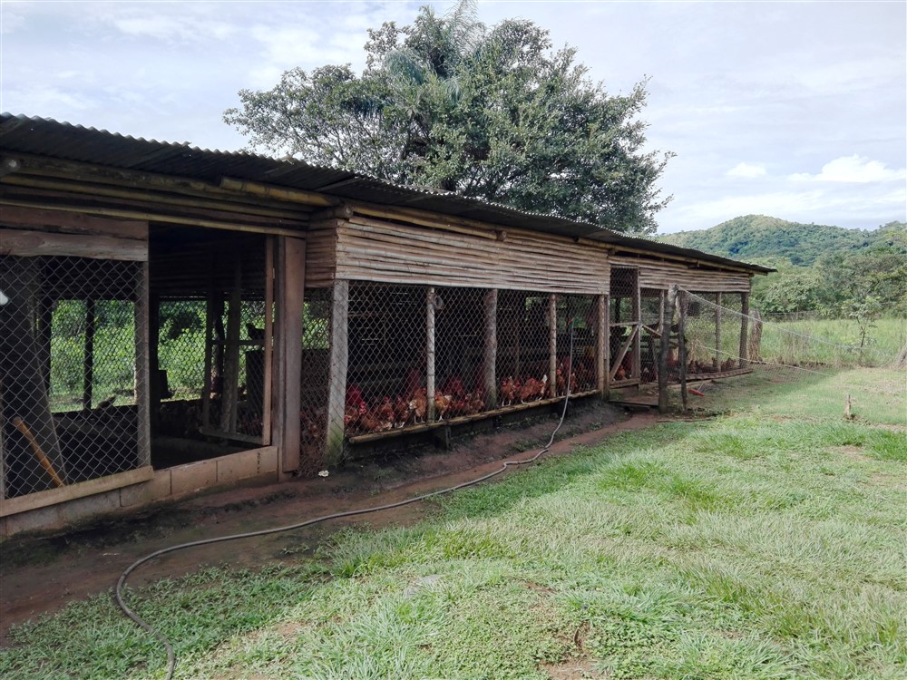 Sold by Casa Solution! House on 0.5 Acre Lot for Sale or Rent Close to the Center of Caldera, Boquete, Panama – Has Full Year Stream & A House photo 7