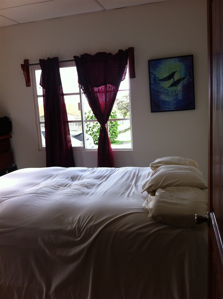 Leased - Nice house in Alto Boquete for rent - unfurnished - Pet Friendly photo 5