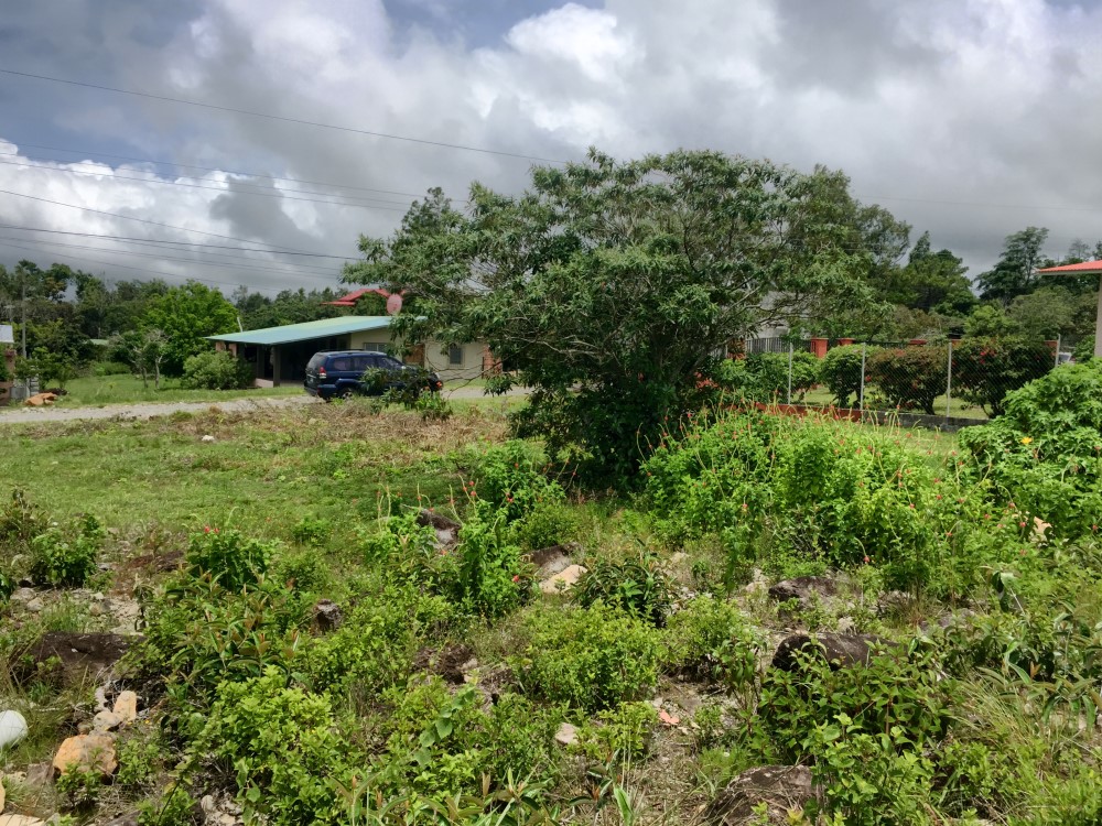 Sold by Casa Solution – Low Priced Convenient Lot For Sale in Alto Boquete photo 8