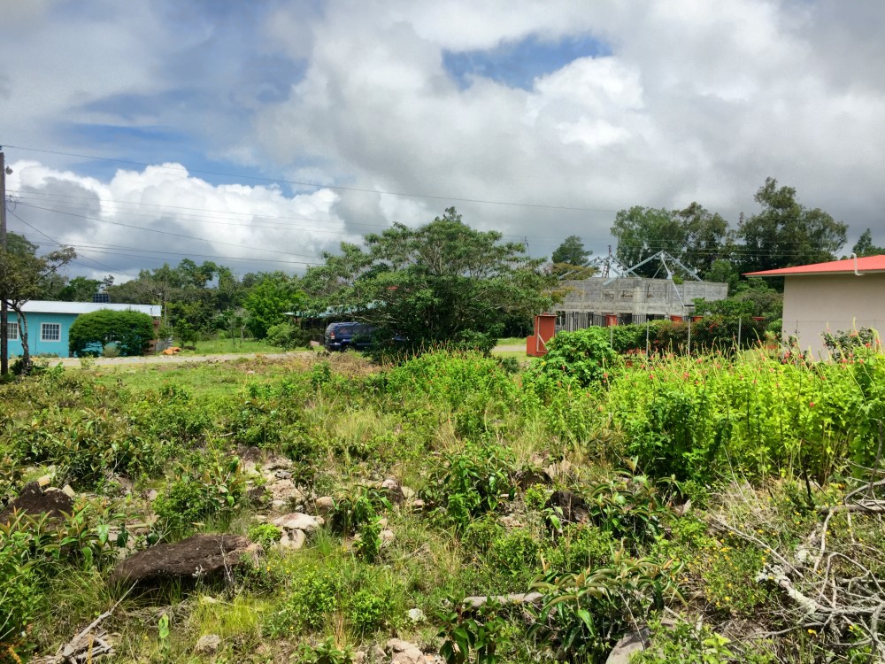 Sold by Casa Solution – Low Priced Convenient Lot For Sale in Alto Boquete photo 9