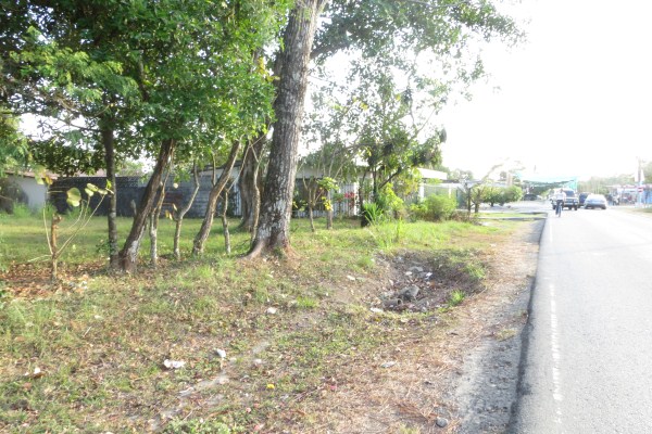 withdrawn Near Busy F Sur in David Panama one block from Pan American Highway photo 4