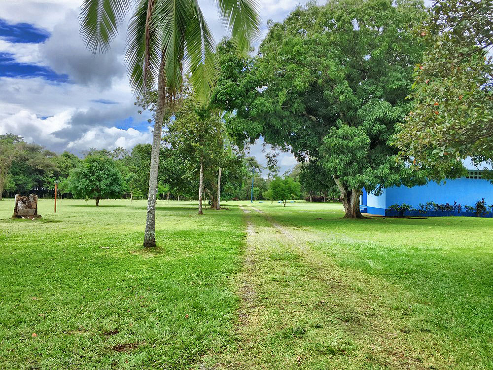 Withdrawn - sold by seller - Price Reduction! Very Beautiful 13 Plus Acre Organic Farm with House & River on Paved Road Near Boquete and David - Muy Hermosa Granja Orgánica de 13 Acres con Casa y Río en Carretera Pavimentada Cerca de Boquete y David photo 9