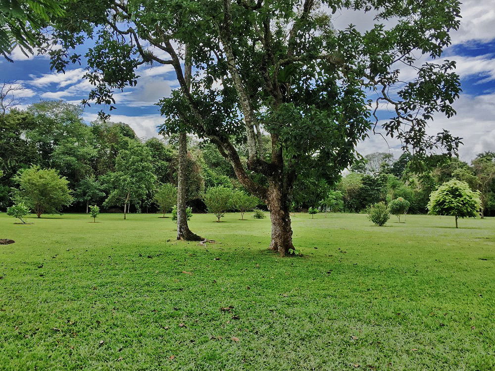 Withdrawn - sold by seller - Price Reduction! Very Beautiful 13 Plus Acre Organic Farm with House & River on Paved Road Near Boquete and David - Muy Hermosa Granja Orgánica de 13 Acres con Casa y Río en Carretera Pavimentada Cerca de Boquete y David photo 10