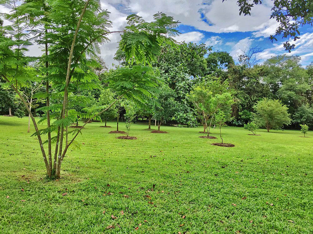 Withdrawn - sold by seller - Price Reduction! Very Beautiful 13 Plus Acre Organic Farm with House & River on Paved Road Near Boquete and David - Muy Hermosa Granja Orgánica de 13 Acres con Casa y Río en Carretera Pavimentada Cerca de Boquete y David photo 11