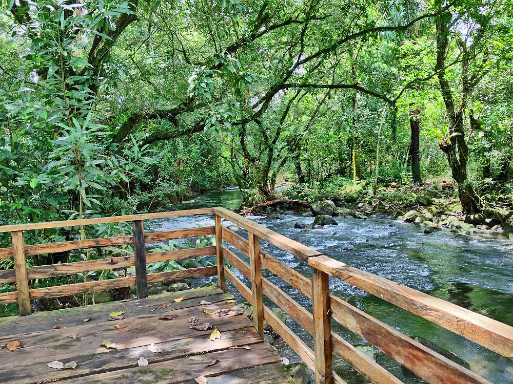 Withdrawn - sold by seller - Price Reduction! Very Beautiful 13 Plus Acre Organic Farm with House & River on Paved Road Near Boquete and David - Muy Hermosa Granja Orgánica de 13 Acres con Casa y Río en Carretera Pavimentada Cerca de Boquete y David photo 3
