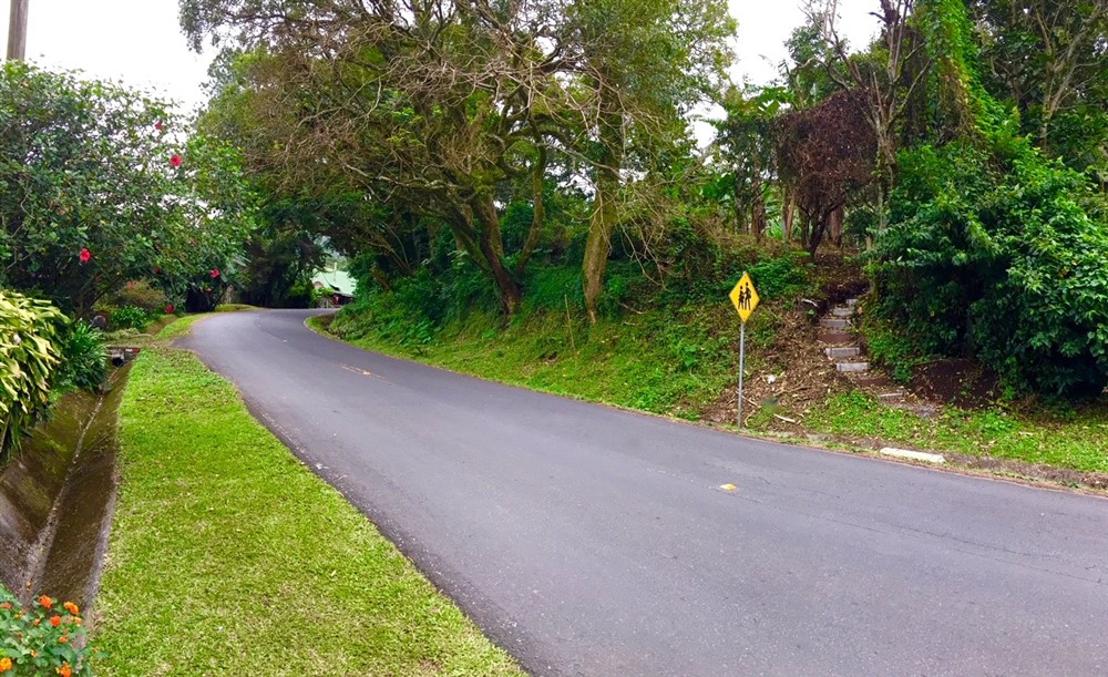 Off Market by Owner - Prime Home Site or Development Lot for Sale in Palo Alto, Boquete – Already Zoned for Medium Density photo 5