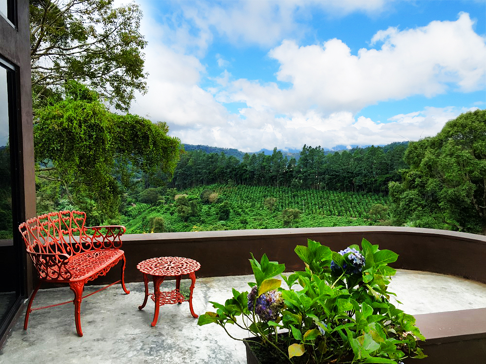 Price Reduction! Prime Location, Incredible Views, Indoor Pool, Theater, Family Compound or Small Hotel for Sale in El Santuario, Boquete, Chiriqui photo 10