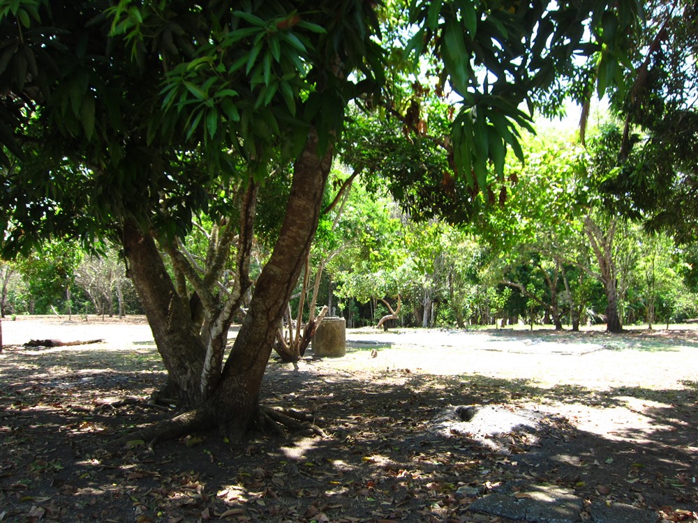 Temporarily Withdrawn - Prime 3 Acre Beach Property in Puerto Armuelles, Panama photo 3