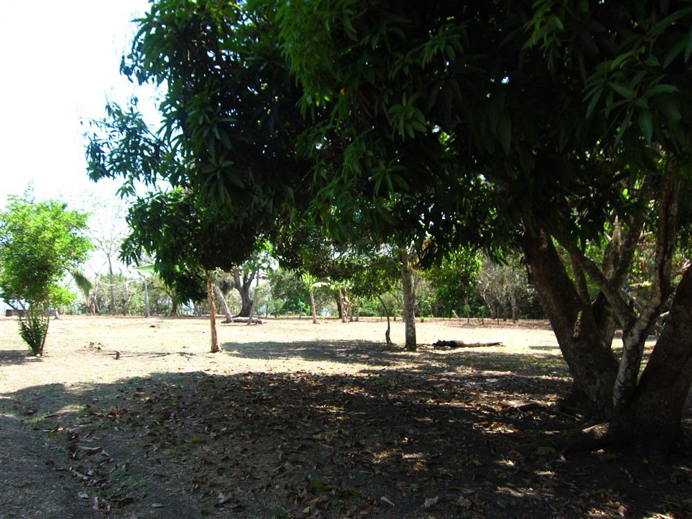 Temporarily Withdrawn - Prime 3 Acre Beach Property in Puerto Armuelles, Panama photo 4