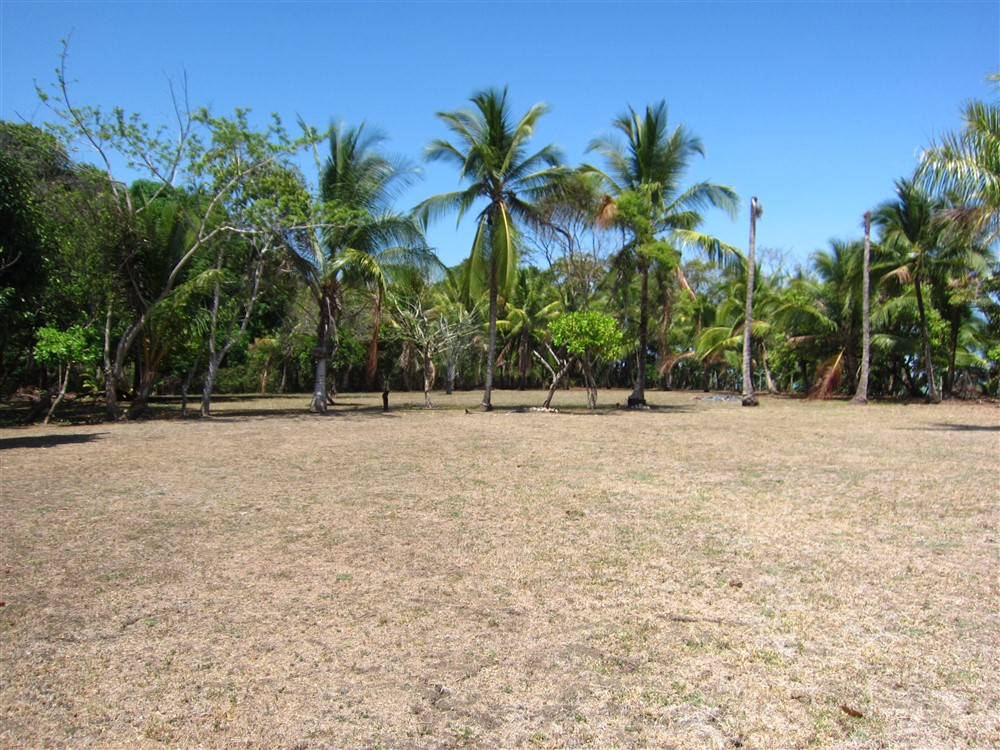 Temporarily Withdrawn - Prime 3 Acre Beach Property in Puerto Armuelles, Panama photo 7