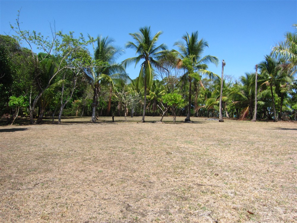 Temporarily Withdrawn - Prime 3 Acre Beach Property in Puerto Armuelles, Panama photo 8