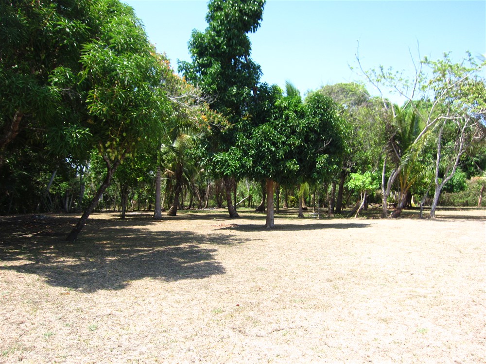 Temporarily Withdrawn - Prime 3 Acre Beach Property in Puerto Armuelles, Panama photo 9