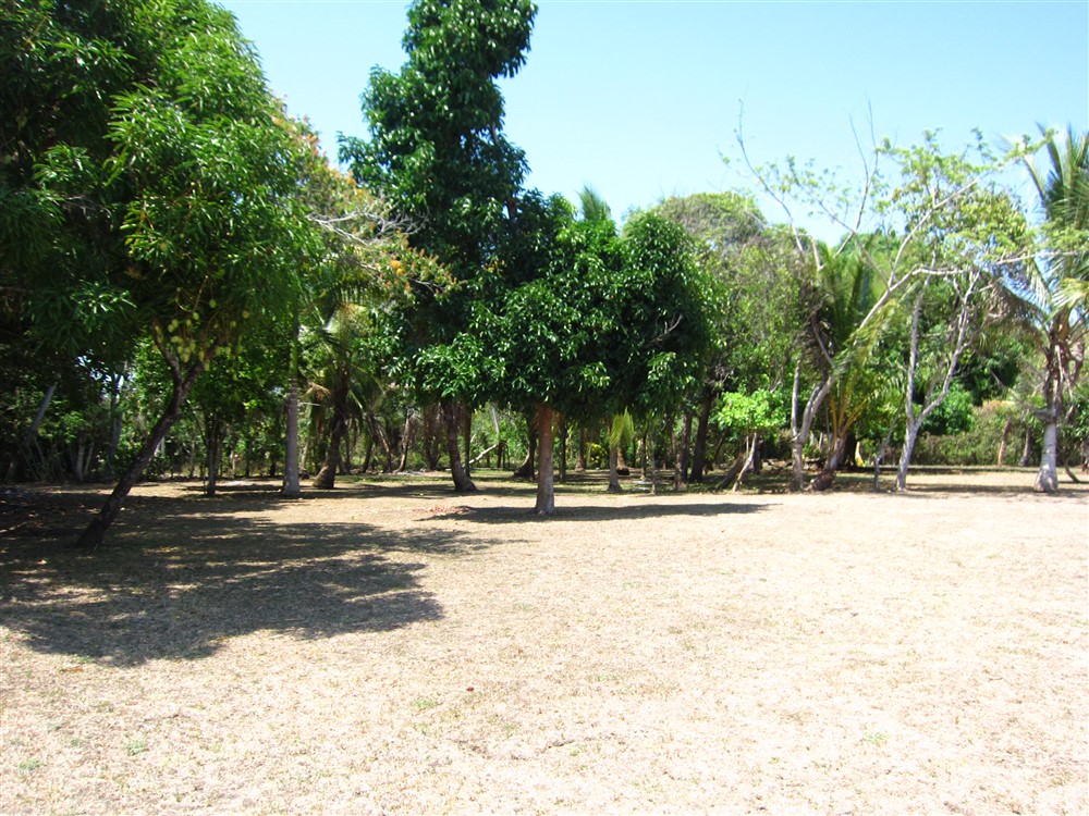 Temporarily Withdrawn - Prime 3 Acre Beach Property in Puerto Armuelles, Panama photo 10