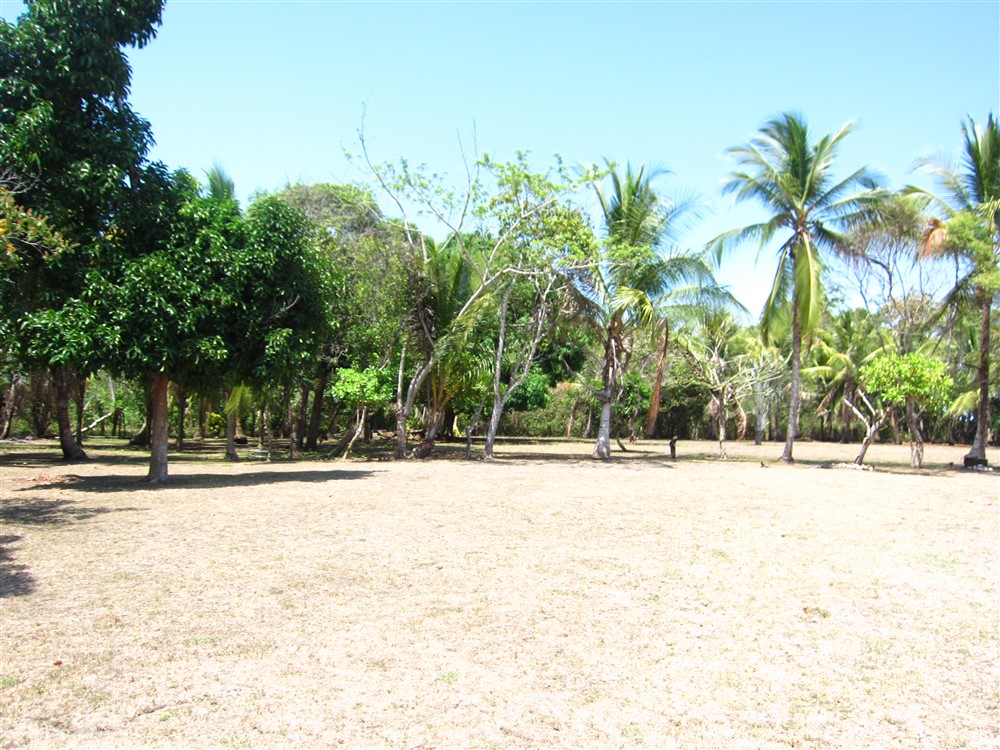 Temporarily Withdrawn - Prime 3 Acre Beach Property in Puerto Armuelles, Panama photo 11
