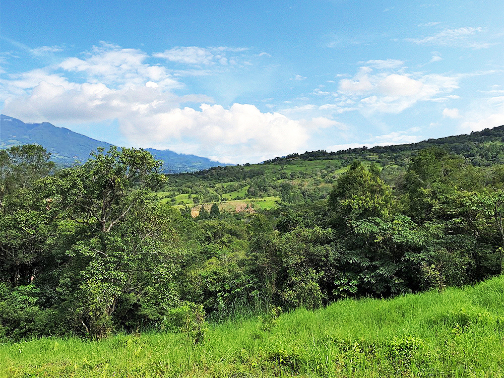 Price Reduction! Outstanding Building Site Lot in Jaramillo, Boquete Panama for Sale Next to Montana Verde Development and Luxury Homes – Over 5,300 Square Meters! photo 3
