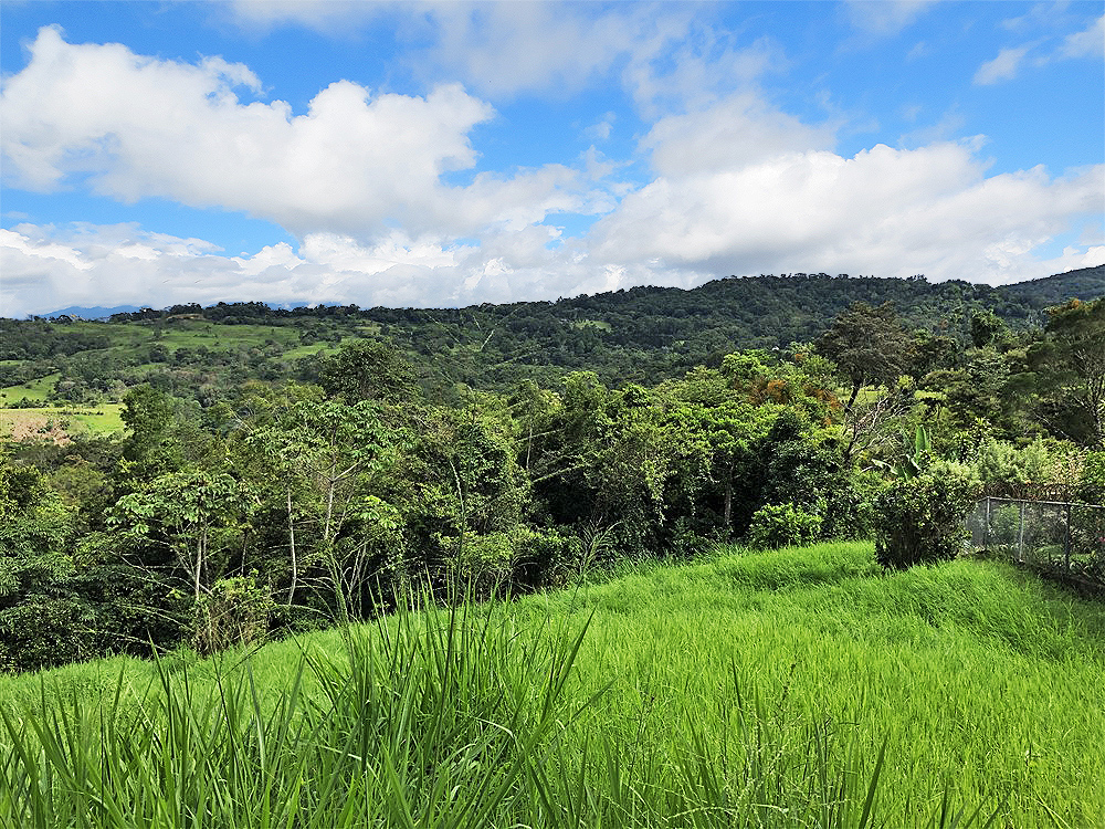 Price Reduction! Outstanding Building Site Lot in Jaramillo, Boquete Panama for Sale Next to Montana Verde Development and Luxury Homes – Over 5,300 Square Meters! photo 9
