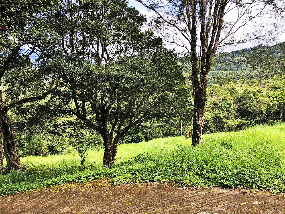 Price Reduction! Outstanding Building Site Lot in Jaramillo, Boquete Panama for Sale Next to Montana Verde Development and Luxury Homes – Over 5,300 Square Meters! photo 8
